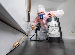 Best Fumigation Services  in Town And Country, WA