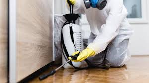 Best Residential Pest Control  in Town And Country, WA